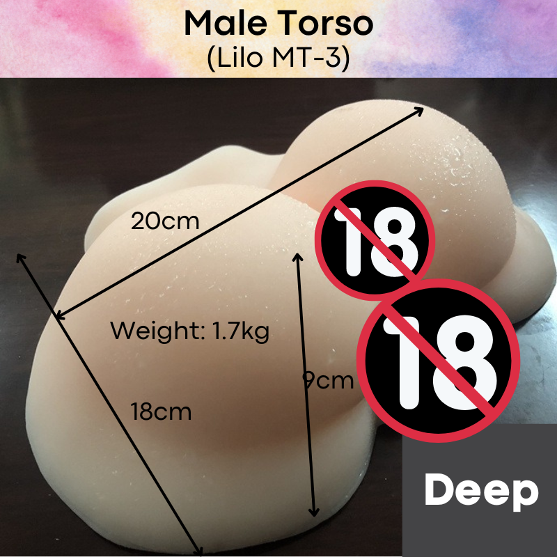 Adult Toy : Male Torso with Butt / Penis (MT1/MT2/MT3)