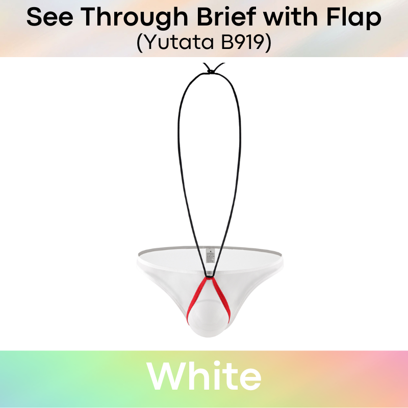 Men's Brief: Polyester Ice Silk Transluscent Brief with Open Flap and Neckline (B919)