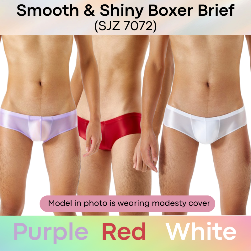 Men's Boxer: Silky Smooth Boxer Brief Trunks Underwear (SJZ7072)