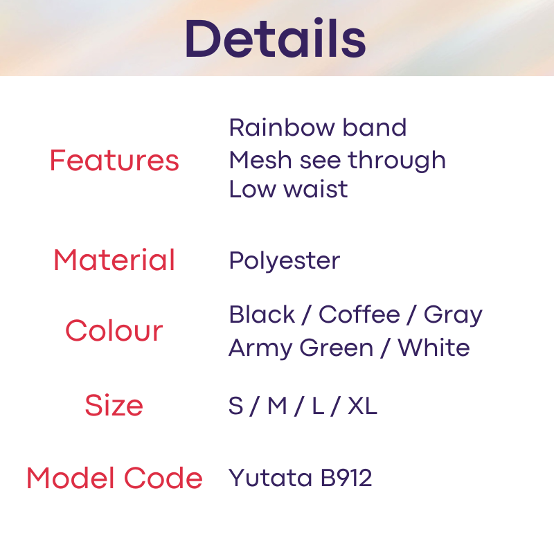 Men's Brief: Polyester Mesh with Rainbow Band and Pouch Opening (B912)