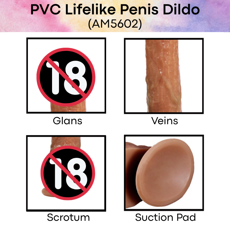 Men's Adult Toy: PVC Lifelike Penis Dildo (AM5602)