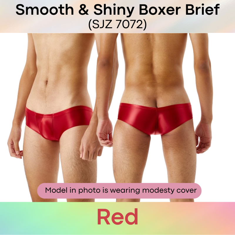 Men's Boxer: Silky Smooth Boxer Brief Trunks Underwear (SJZ7072)