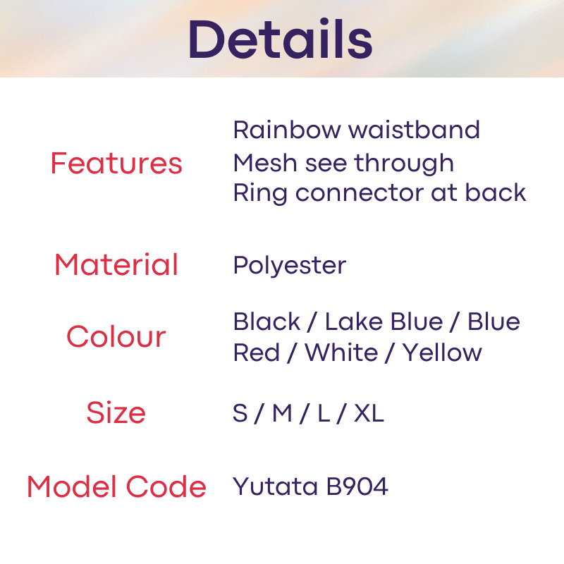 Men's GString: Rainbow Band Mesh GString (B904)