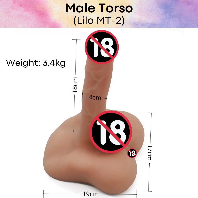 Adult Toy : Male Torso with Butt / Penis (MT1/MT2/MT3)