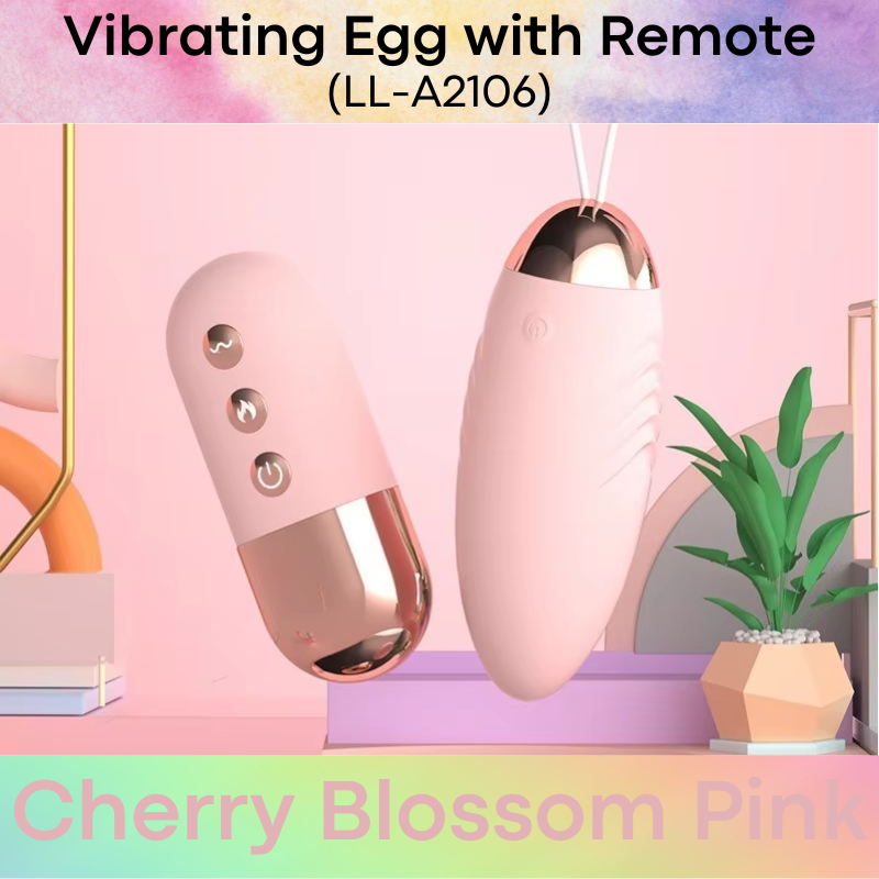 Adult Toy: Vibrating Egg with Heating Feature and 10 Vibration Modes (LL-A2106)