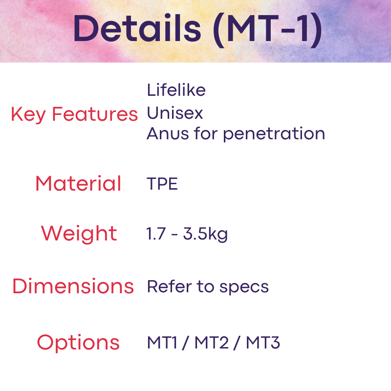 Adult Toy : Male Torso with Butt / Penis (MT1/MT2/MT3)