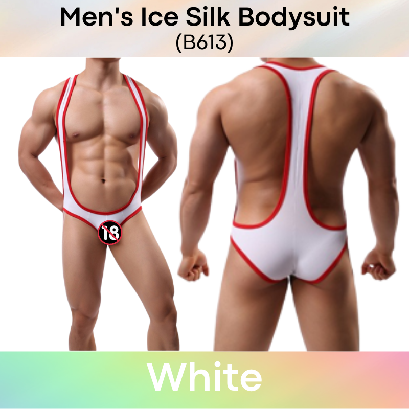 Men's Bodysuit : Ice Silk Brief Style (B613)