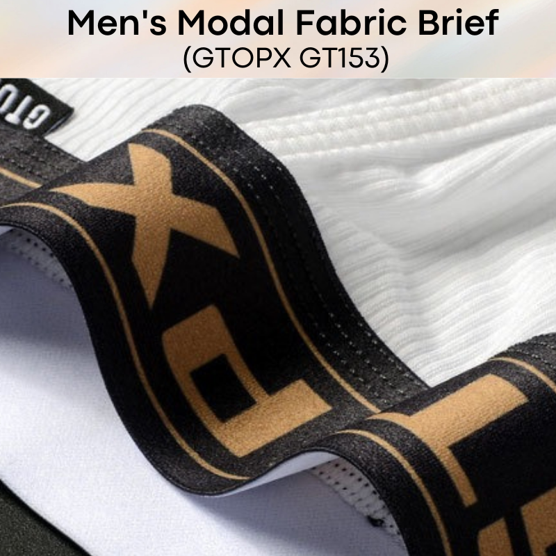 Men's Brief : Modal Fabric 3D Pouch Underwear (GTOPX GT153)