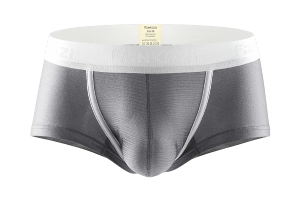 Men's Boxer : Low Waist Ice Silk Underwear (Fankazi F3001)
