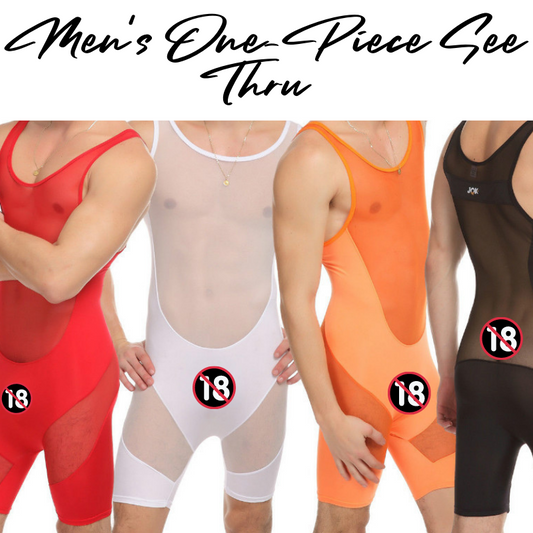 Men's Bodysuit : One-piece Mesh Suit Underwear (JQK320)