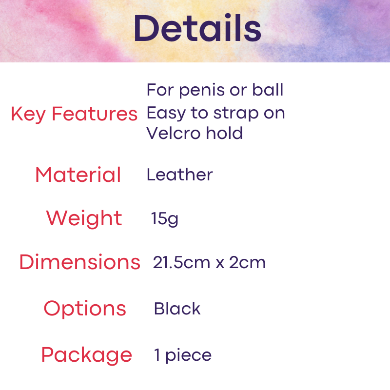 Adult Toy : Men's Penis/Ball Strap (Hottime 212400044)