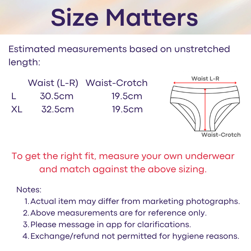 Men's Brief : Standout Capsule Ice Silk Underwear (Qinghe N4020A)