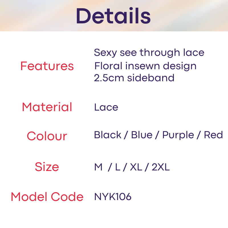 Men's Thong : Lace Sexy T Back Thong Underwear (NYK106)