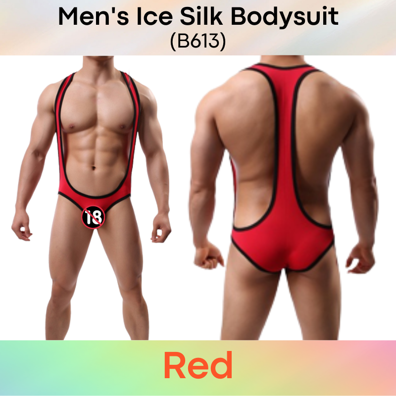 Men's Bodysuit : Ice Silk Brief Style (B613)