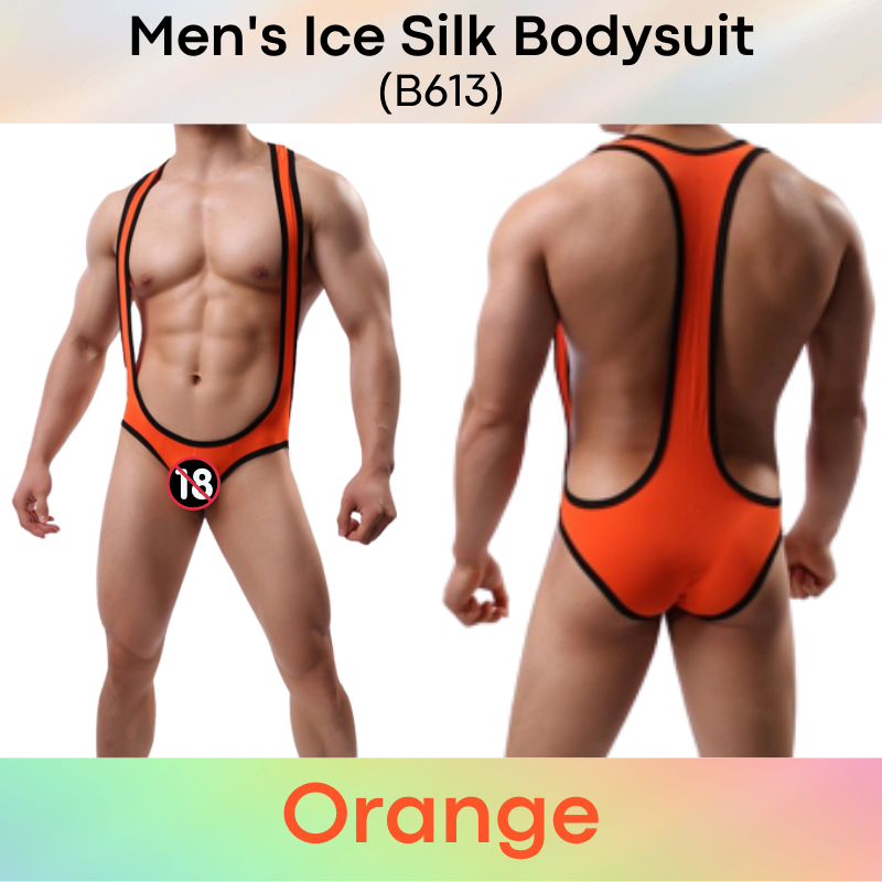 Men's Bodysuit : Ice Silk Brief Style (B613)