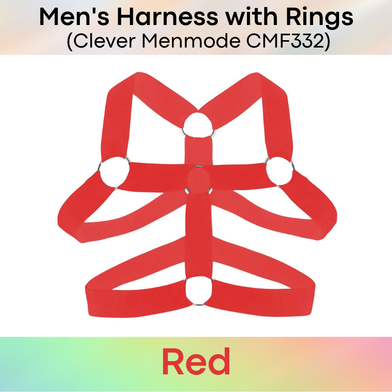 Men's Harness : Harness with Ring (Clever Menmode CMF332)