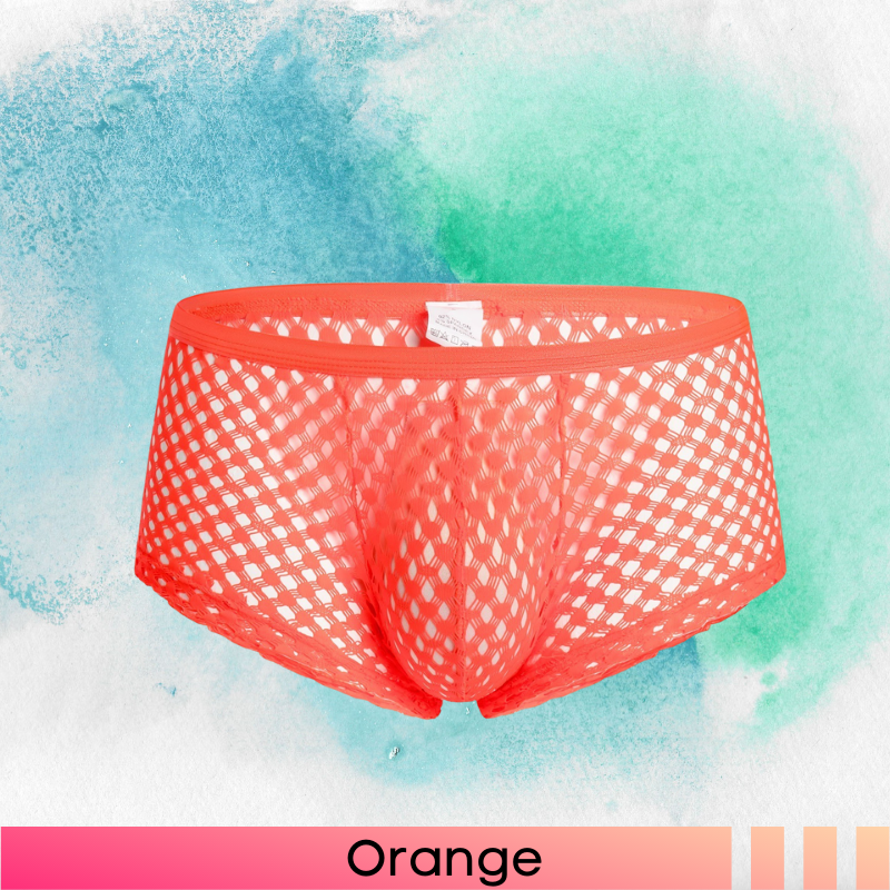 Men's Boxer : Net See Thru (Clever Menmode CMF272)