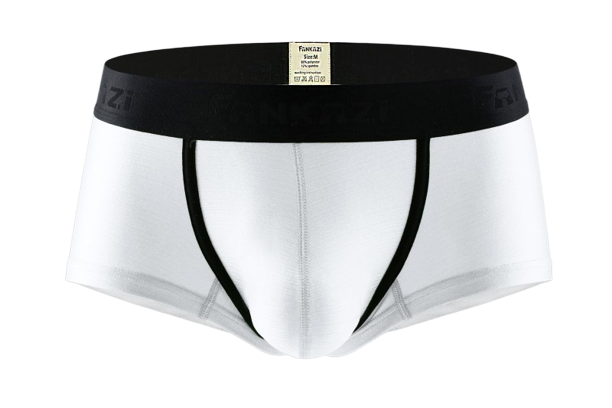 Men's Boxer : Low Waist Ice Silk Underwear (Fankazi F3001)