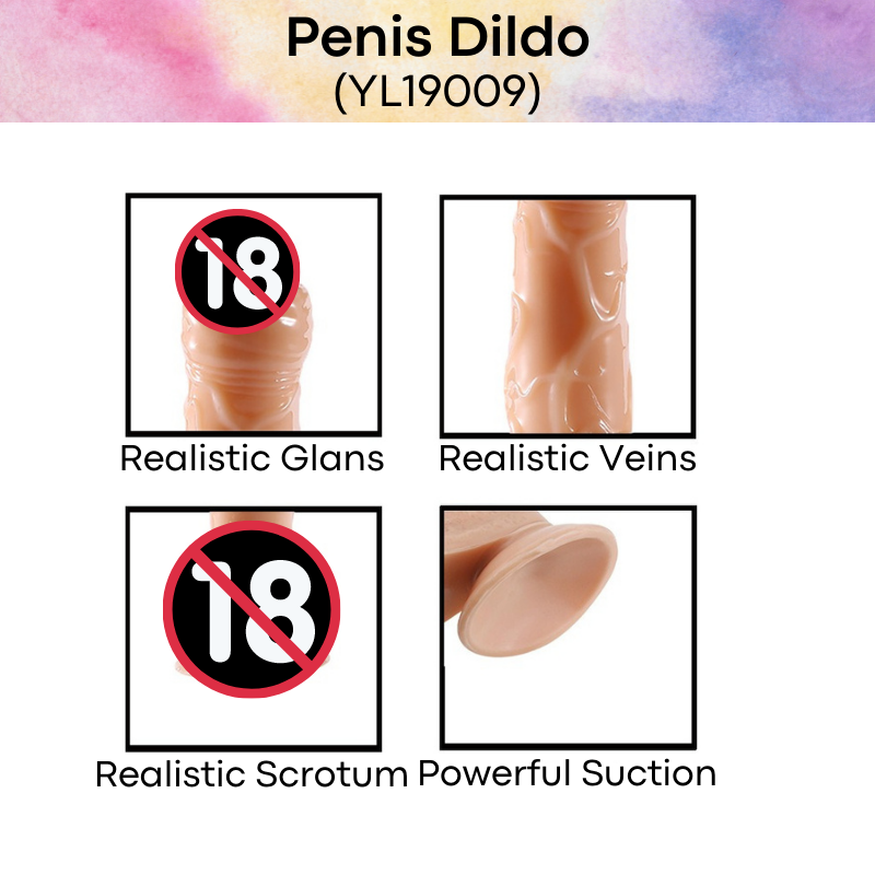 Adult Toy : Penis Dildo (YL19009 Penis Dildo)