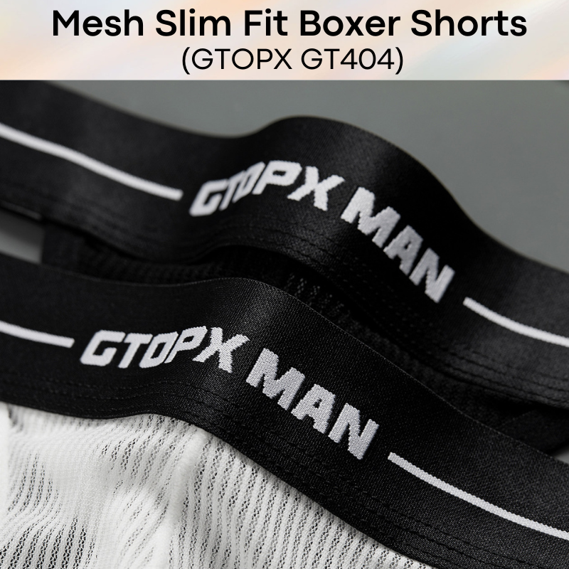 Men's Boxer : Nylon Ice Silk Mesh Slim Fit Boxer Shorts Underwear (GTOPX GT404)