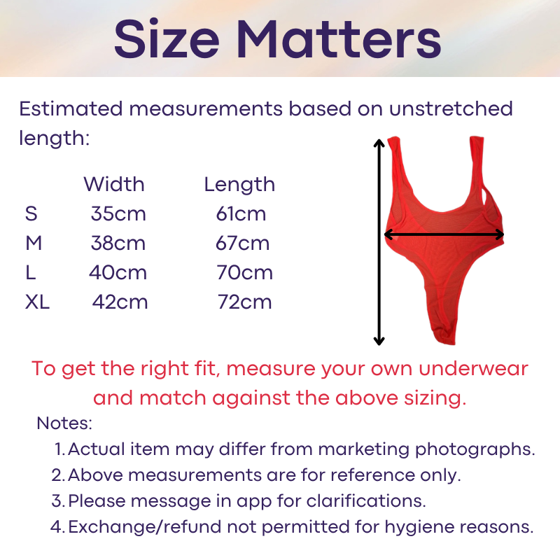 Mens Bodysuit: Polyester Mesh V Cut Thong Bodysuit Underwear (E776)
