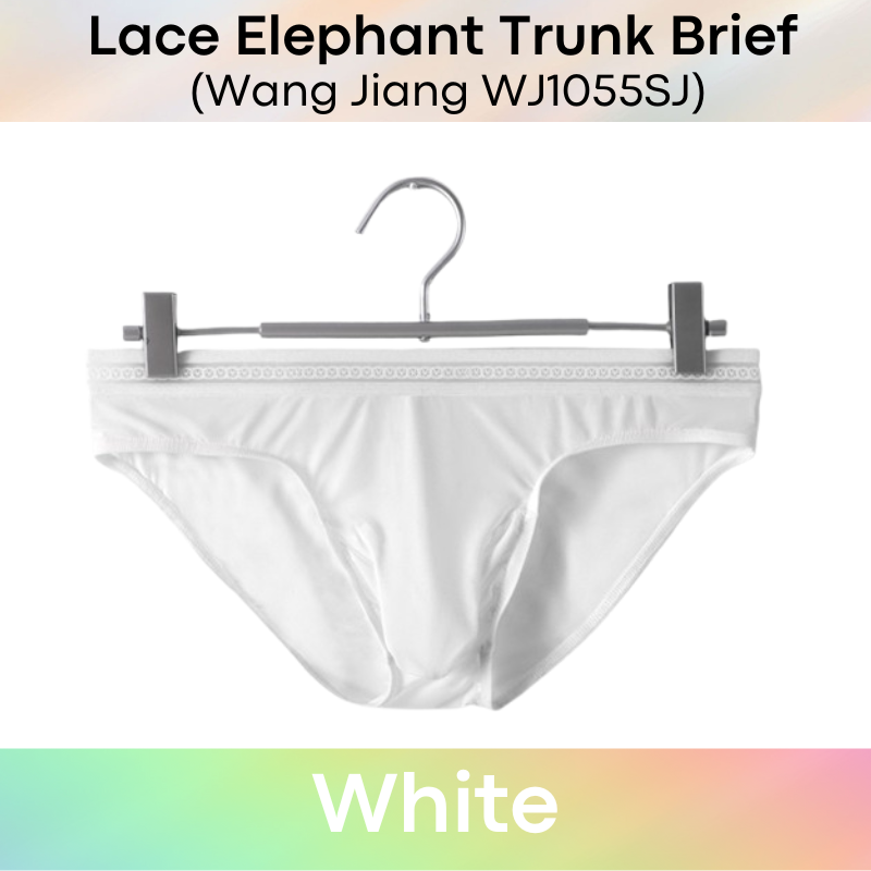 Men's Brief: Ice Silk Lace Waistband Brief with Elephant Trunk Pouch (WJ1055SJ)