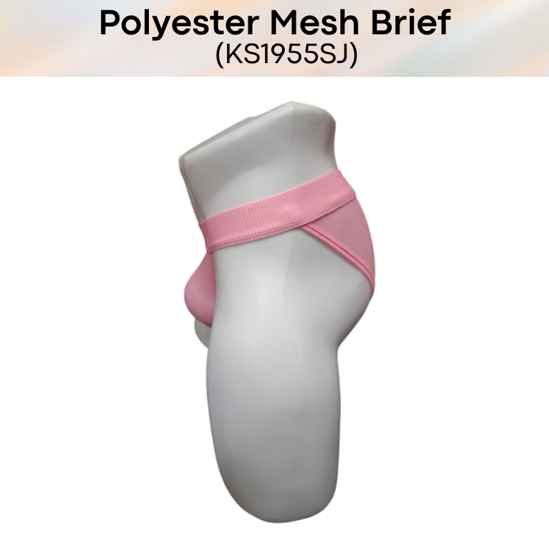 Men's Brief: Polyester Mesh Brief Underwear (KS1955SJ)
