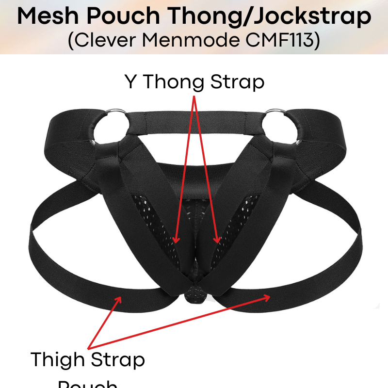 Men's Jockstrap : Nylon Mesh Pouch Jockstrap Y-Thong with Ring (Clever Menmode CMF113)