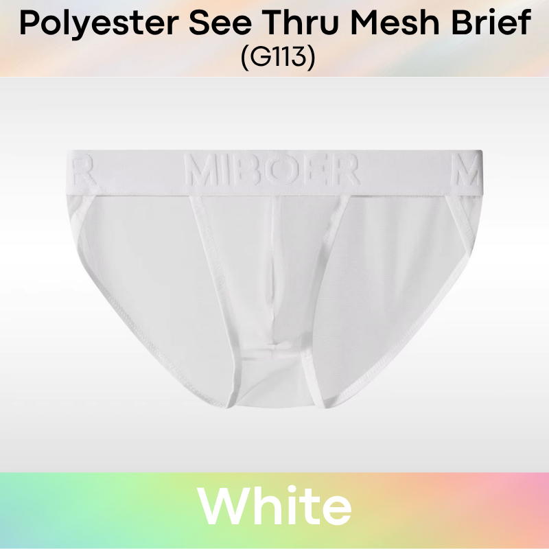 Men's Brief: Polyester Mesh See Through Brief Underwear (G114)