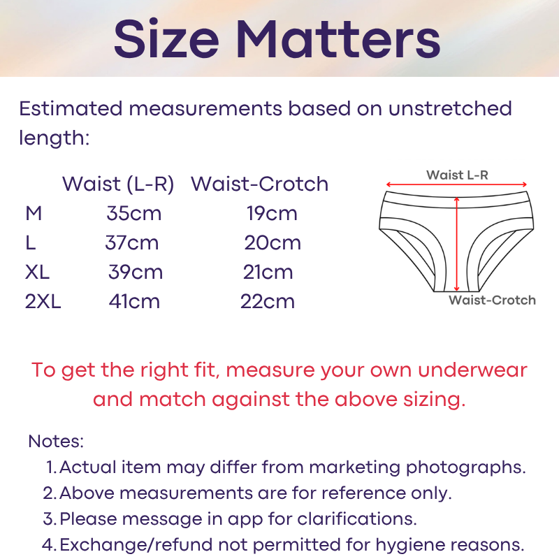 Men's Brief: Nylon Satin Ice Silk Brief Underwear (AD416)