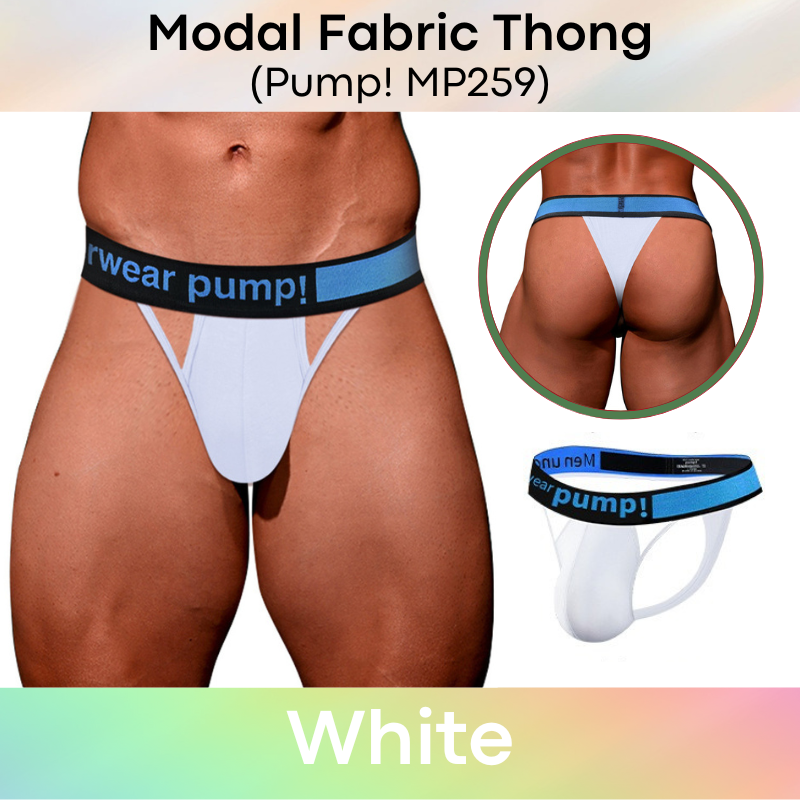 Men's Thong : Modal Fabric with 4cm Waistband Thong (Pump! MP259)