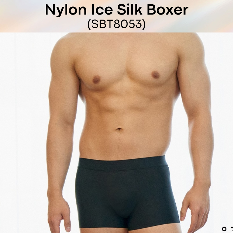 Men's Boxer: Nylon Ice Silk Boxer Trunks Underwear (SBT8053)