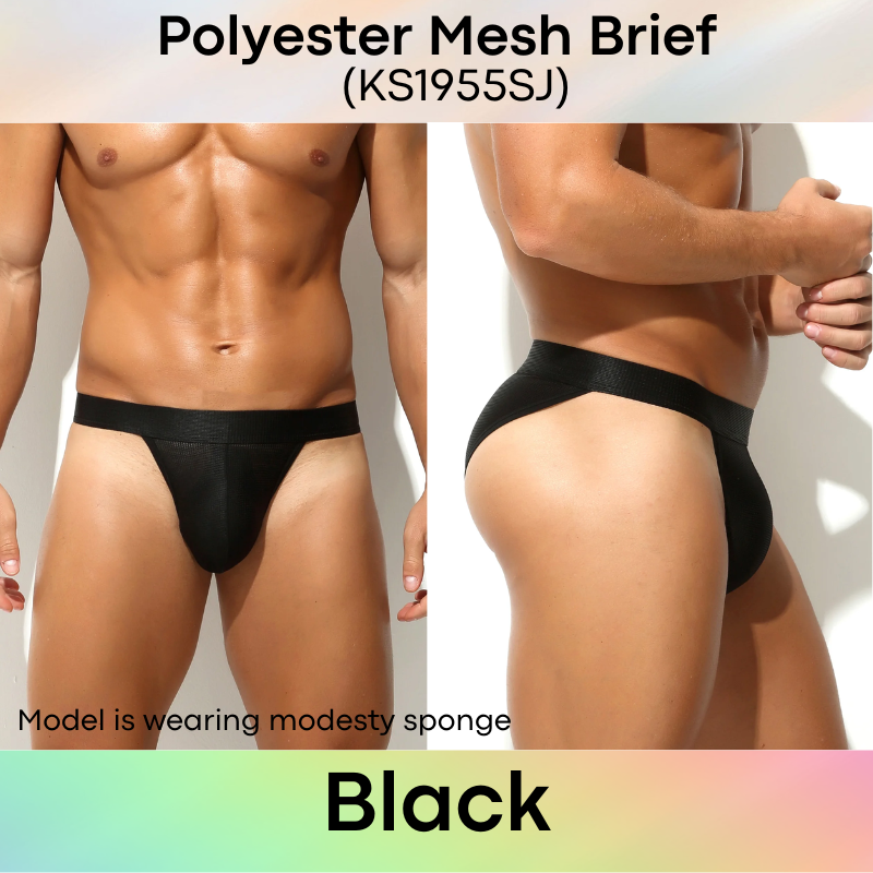 Men's Brief: Polyester Mesh Brief Underwear (KS1955SJ)