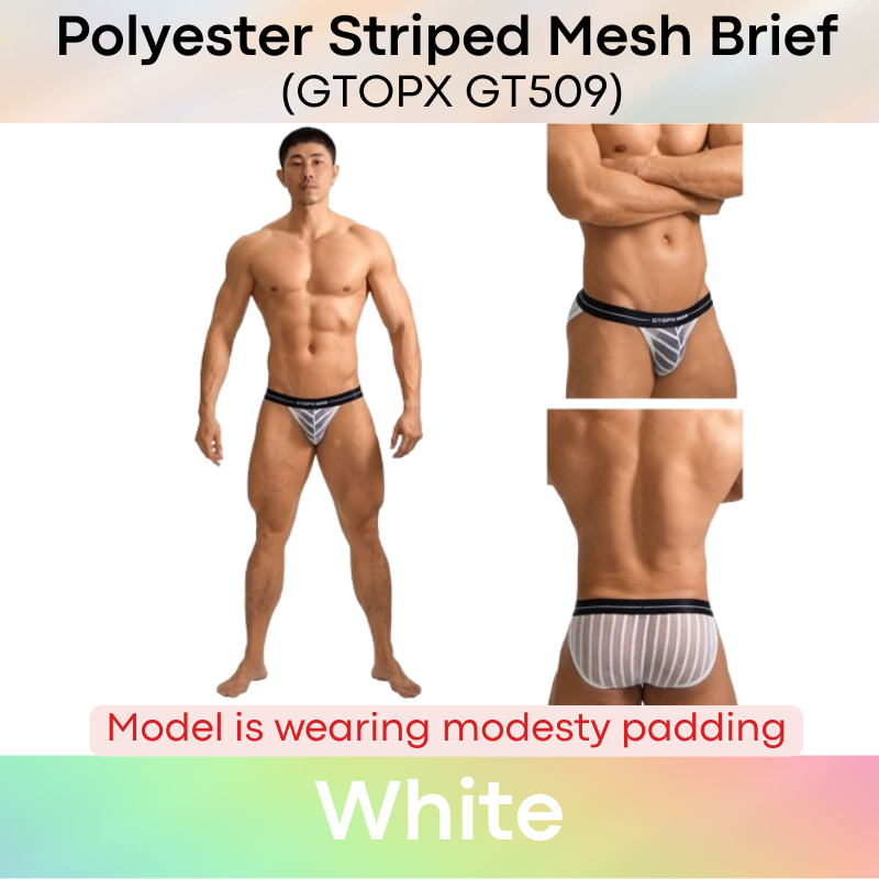 Men's Brief: Mesh Opaque Striped Brief (GT509)