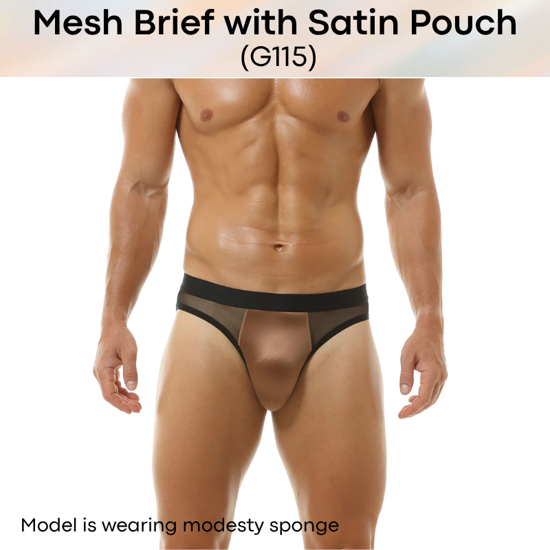Men's Brief: Polyester Mesh See Through Brief with Satin Pouch Underwear (G115)