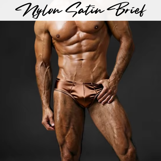 Men's Brief: Nylon Satin Ice Silk Brief Underwear (AD416)
