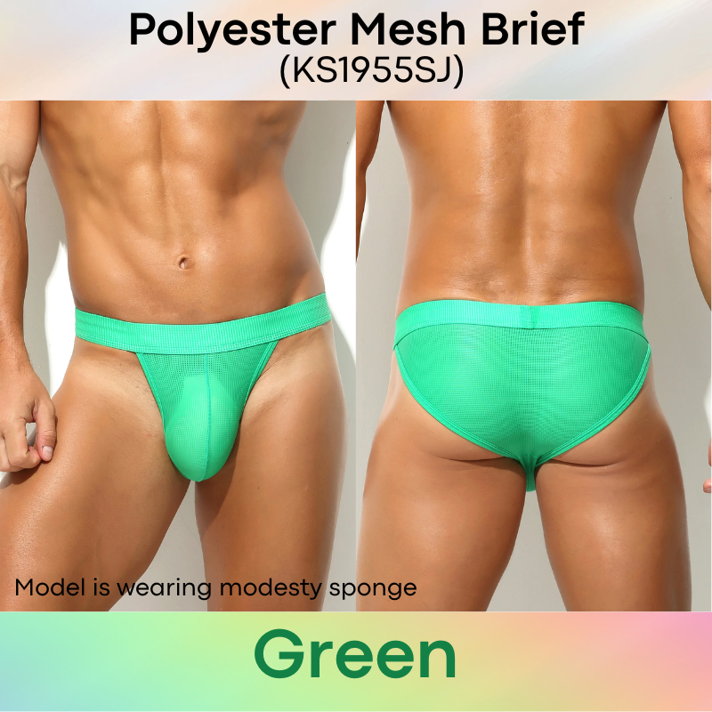 Men's Brief: Polyester Mesh Brief Underwear (KS1955SJ)