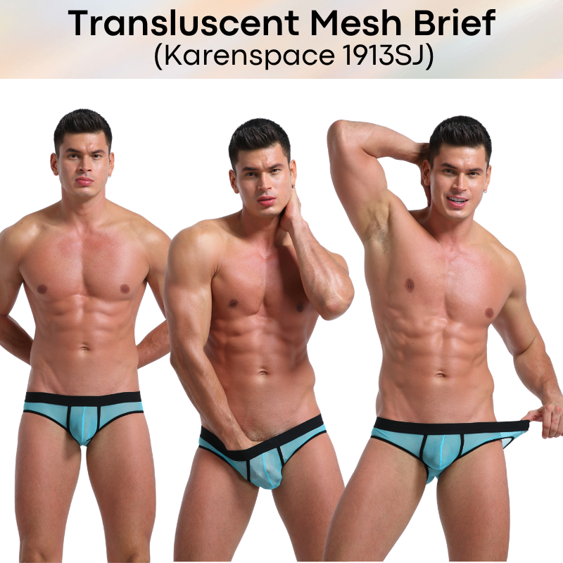 Men's Brief: Polyester Translucent Mesh Brief Underwear (KS1913SJ)
