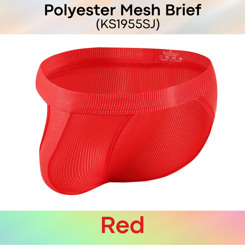 Men's Brief: Polyester Mesh Brief Underwear (KS1955SJ)