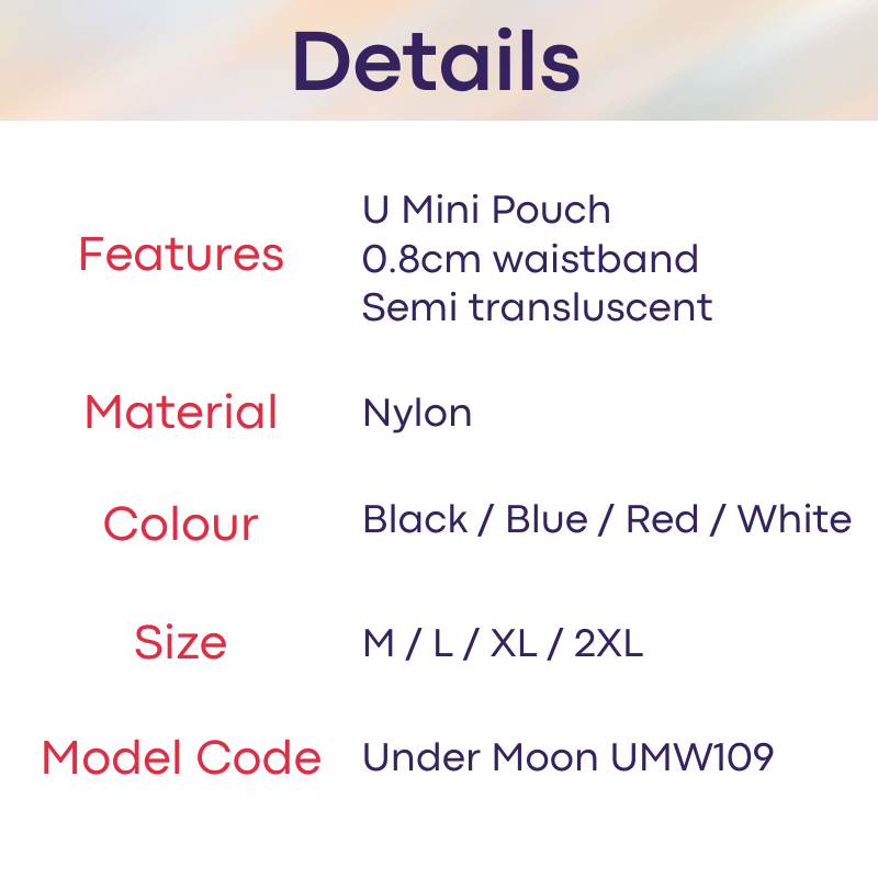 Men's GString: Nylon Ice Silk Translucent U Pouch Thong Underwear (UMW109)