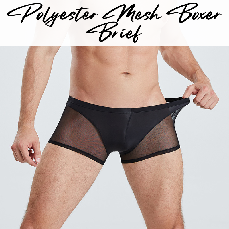 Men's Boxer: Polyester Mesh See Through with Ice Silk Pouch Layer Boxer Brief Underwear (F1303)