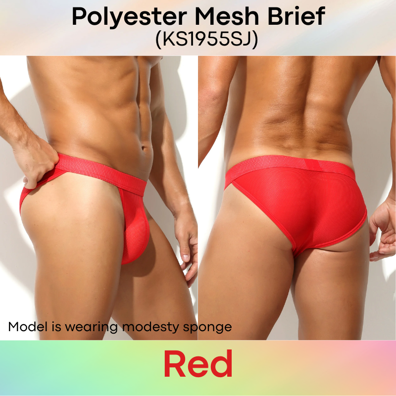 Men's Brief: Polyester Mesh Brief Underwear (KS1955SJ)