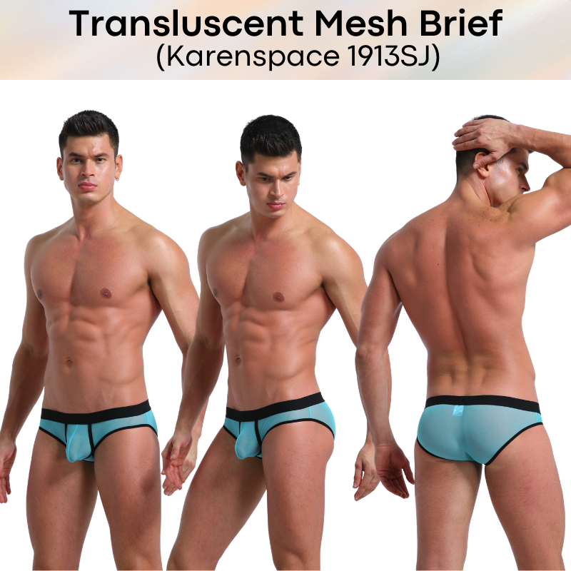 Men's Brief: Polyester Translucent Mesh Brief Underwear (KS1913SJ)