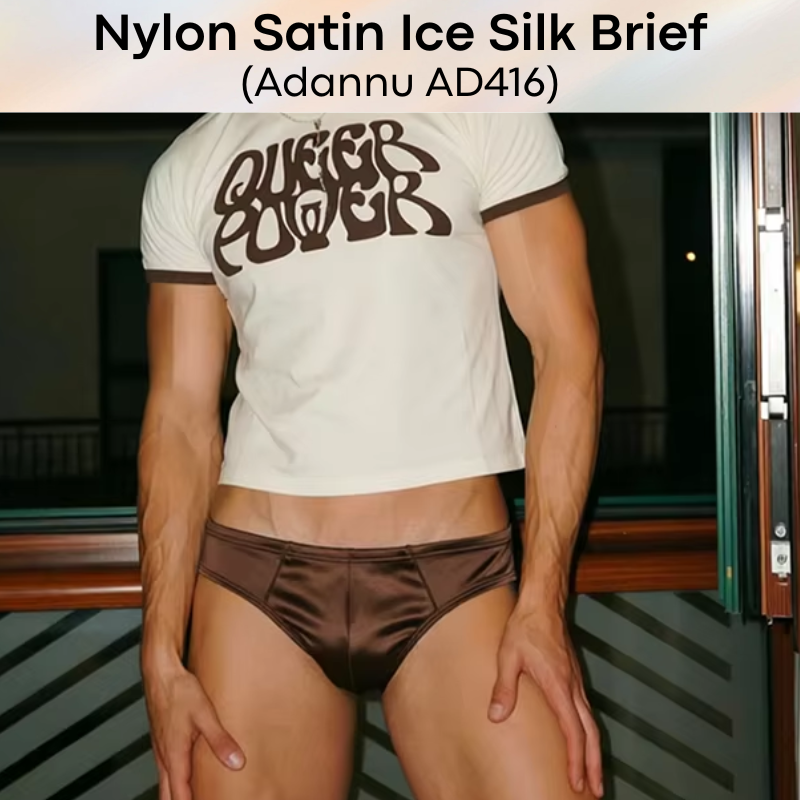Men's Brief: Nylon Satin Ice Silk Brief Underwear (AD416)