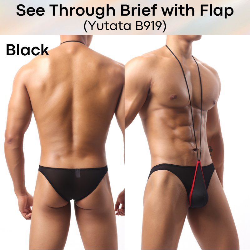 Men's Brief: Polyester Ice Silk Transluscent Brief with Open Flap and Neckline (B919)