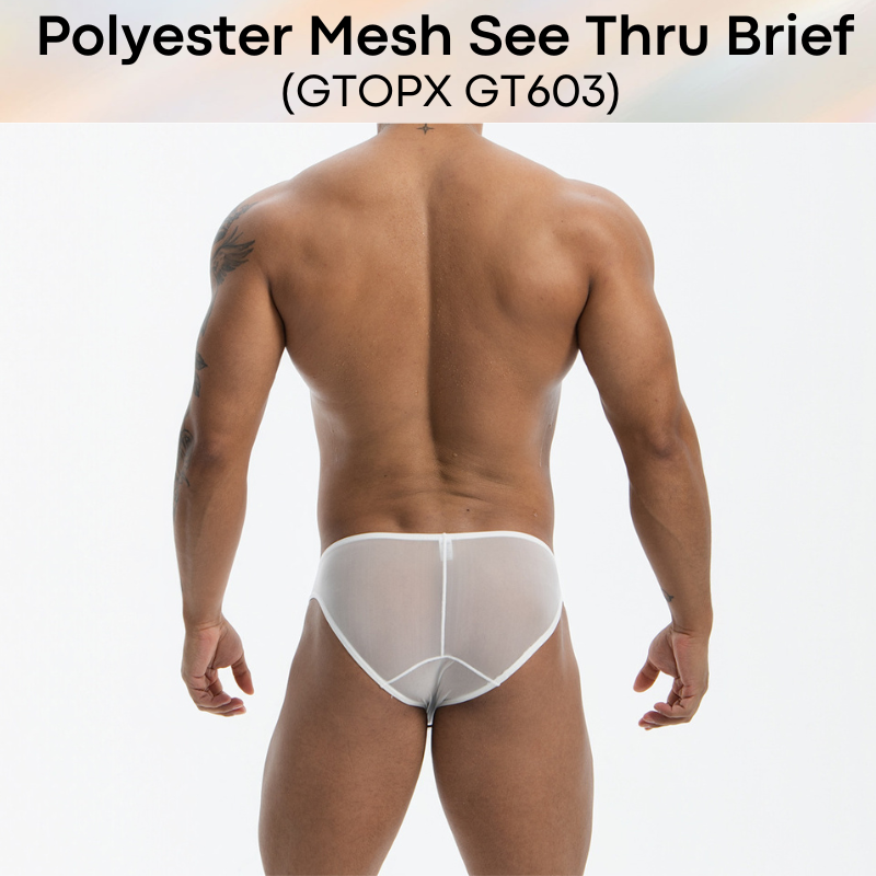 Men's Brief: Polyester Mesh See Through Low Waist Brief (GT603)