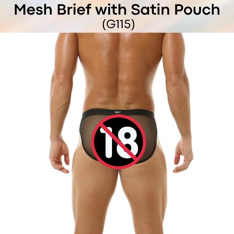 Men's Brief: Polyester Mesh See Through Brief with Satin Pouch Underwear (G115)