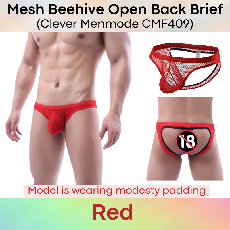 Men's Brief: Polyester Mesh Beehive Open Back Brief (CMF409)