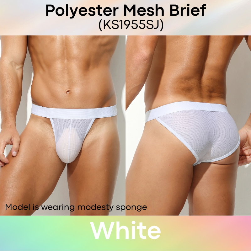 Men's Brief: Polyester Mesh Brief Underwear (KS1955SJ)