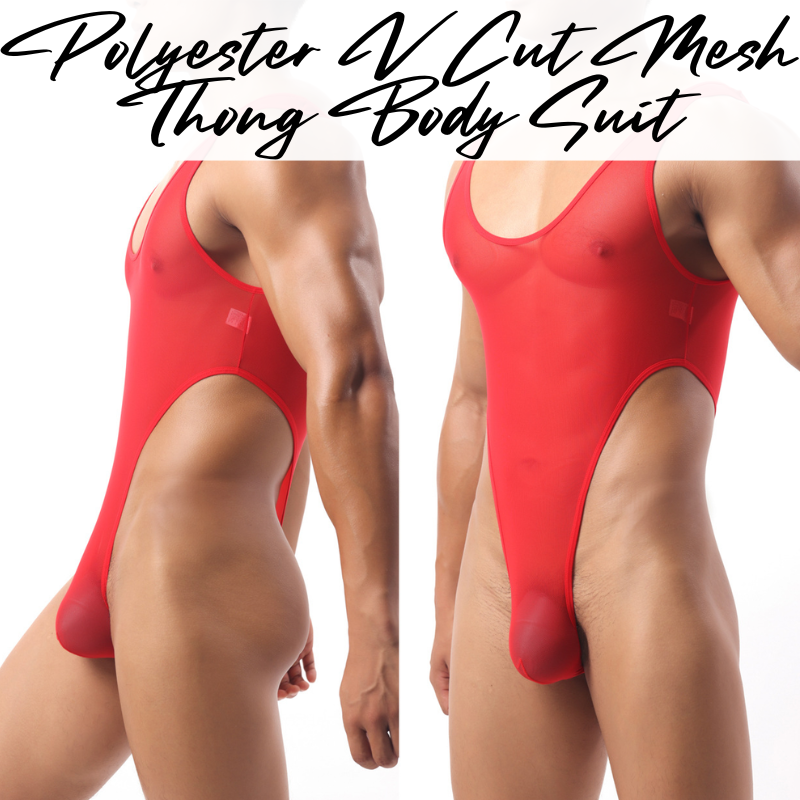 Mens Bodysuit: Polyester Mesh V Cut Thong Bodysuit Underwear (E776)